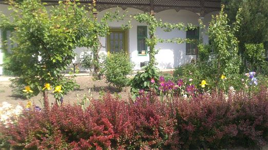 JMÉ békéscsaba jógaközpont